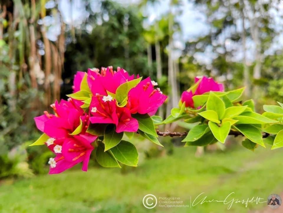 Phurin Thara Resort Ko Lanta Exteriér fotografie